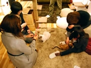 ��̾��ʡ�����ǭ���ե��ס��ݸ�줿ǭ10ɤ��Ź���������