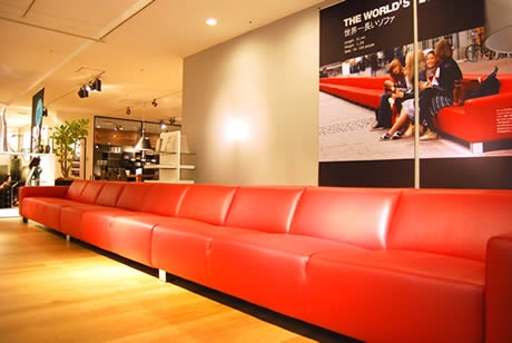 ���ͥ���������Ĺ�����ե��פ�1��8�Υ��ե�����BoConcept�פ�Ÿ��