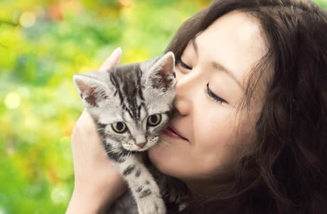 �ǲ�֥����������ä�ǭ�Ǥ���ס�VIORO�ǥ���ܥѥͥ�Ÿ