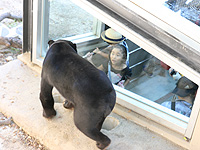 人気再燃で沸く福岡市動物園 100万人目指し ユニーク企画で奮闘 天神経済新聞